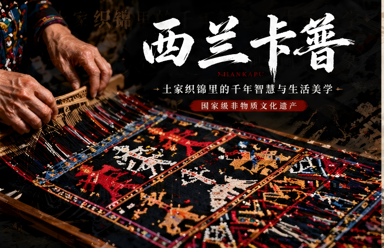 染色工艺视频封面