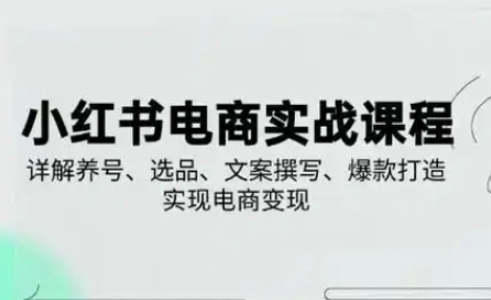 小红书从0-1实操课(2023-2025),详解养号、选品、文案撰写、爆款打造实现电商变现-创梦DreamCreation终点站