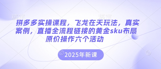 拼多多实操课程,飞龙在天玩法,真实案例,直播全流程链接的黄金sku布局原价操作六个活动-创梦DreamCreation终点站