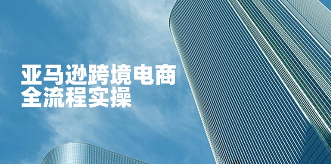 (14252期)亚马逊跨境电商全流程实操,教你从零开始,掌握店铺运营与广告技巧-创梦DreamCreation终点站