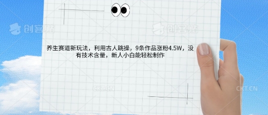 AI养生赛道新玩法,10条作品涨粉5.2W,操作简单,新人小白能轻松制作-创梦DreamCreation终点站