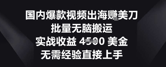 国内爆款视频出海挣美刀,批量无脑搬运,实战收益4.5k,无需经验直接上手-创梦DreamCreation终点站