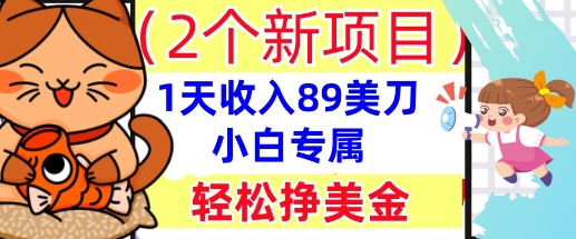 2个新项目,轻松挣美金, 1天收入89美刀,小白专属,干货分享-创梦DreamCreation终点站