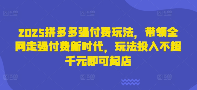 2025拼多多强付费玩法,带领全网走强付费新时代,玩法投入不超千元即可起店-创梦DreamCreation终点站