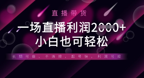 半无人直播带货,一场利润数张,适合所有平台玩法,小白也可轻松-创梦DreamCreation终点站