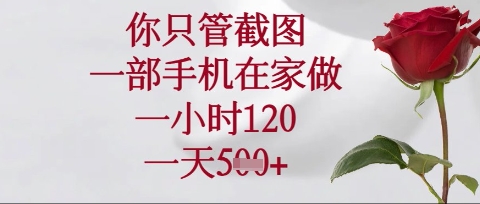 你只管截图,一部手机在家操作,一小时120.一天5张【揭秘】-创梦DreamCreation终点站